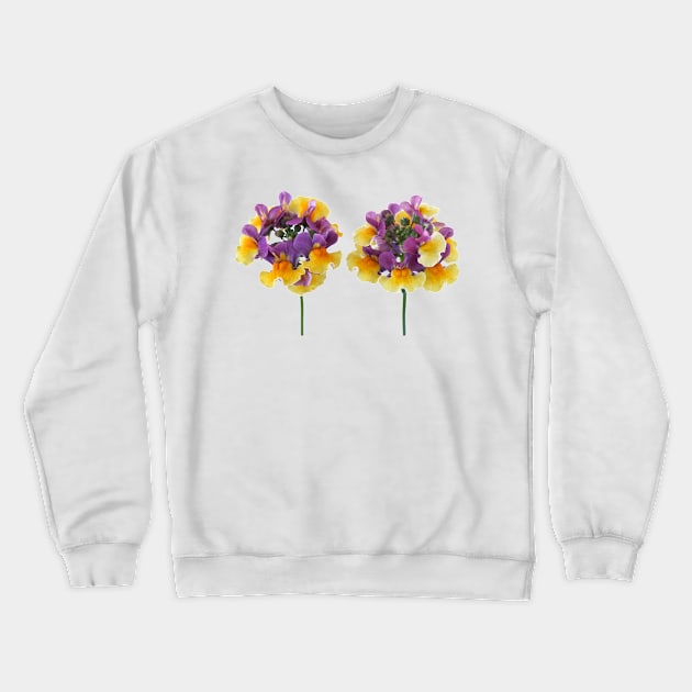 Nemesia  Aroma Rhubarb &amp; Custard  Aroma Series Crewneck Sweatshirt by chrisburrows